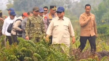 Karhutla Kalimantan Jadi Sorotan, Banyak Hotspot Terdeteksi tapi Masyarakat Diminta Tak Panik