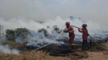 Ketua Umum DMI Serukan Shalat Istisqa dan Taubat, Meminta Turun Hujan untuk Kebakaran Karhutla