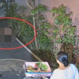 Bak Kucing, Pasangan Bule Berhubungan Badan di Pekarangan Rumah Warga Bali: Diteriaki Cuek, Kini Diburu Polisi dan Imigrasi