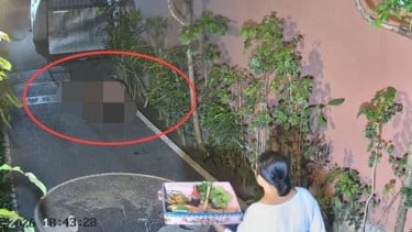 Bak Kucing, Pasangan Bule Berhubungan Badan di Pekarangan Rumah Warga Bali: Diteriaki Cuek, Kini Diburu Polisi dan Imigrasi