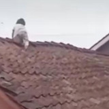 Bak Spider-Man, Balita 2 Tahun di Wonosobo Merayap hingga Duduk Santai di Atap Rumah, Warga Histeris