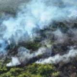 72 Orang Ditetapkan Tersangka Kasus Karhutla di Kalimantan, Bareskrim Bocorkan Rinciannya
