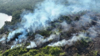 72 Orang Ditetapkan Tersangka Kasus Karhutla di Kalimantan, Bareskrim Bocorkan Rinciannya