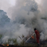 Bareskim Singgung Aktor Intelektual Karhutla, Mulai Transaksi Keuangan hingga Korporasi