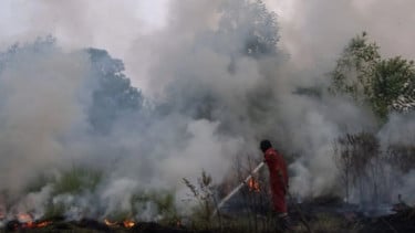 Bareskim Singgung Aktor Intelektual Karhutla, Mulai Transaksi Keuangan hingga Korporasi