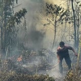 1.923 Titik Panas Muncul di Papua Tengah, BMKG Ungkap Nabire Paling Banyak dan Rawan