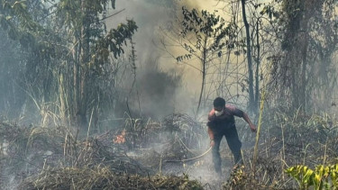 1.923 Titik Panas Muncul di Papua Tengah, BMKG Ungkap Nabire Paling Banyak dan Rawan