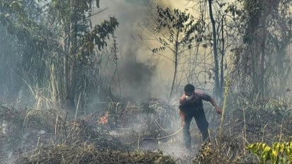 1.923 Titik Panas Muncul di Papua Tengah, BMKG Ungkap Nabire Paling Banyak dan Rawan