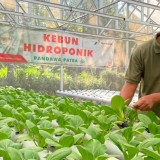 Desa Energi Berdikari Perkuat Kemandirian Penyandang Disabilitas di Boyolali