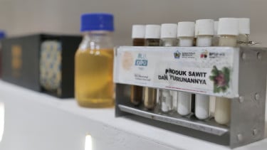 PASPI: Sawit Indonesia Diproyeksi Penuhi 60 Persen Kebutuhan Minyak Nabati Dunia pada 2050
