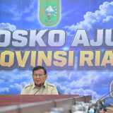 Pasukan Freefall Padamkan Karhutla Riau di Titik Sulit Terjangkau, Prabowo: Jangan Hanya untuk Upacara