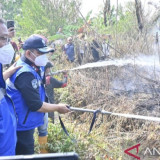 Kementerian Lingkungan Hidup Selidiki 11 Perusahaan Terindikasi Terkait Karhutlah