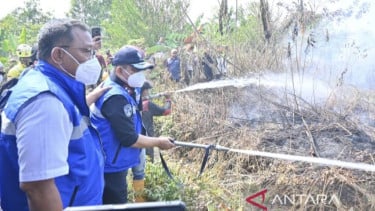 Kementerian Lingkungan Hidup Selidiki 11 Perusahaan Terindikasi Terkait Karhutlah