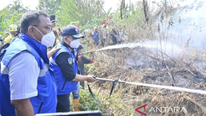 Kementerian Lingkungan Hidup Selidiki 11 Perusahaan Terindikasi Terkait Karhutlah