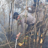 Asap Karhutla Kalimantan Sampai ke Negara Tetangga, BMKG Sebut Karena Angin