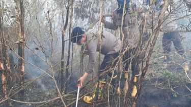Asap Karhutla Kalimantan Sampai ke Negara Tetangga, BMKG Sebut Karena Angin