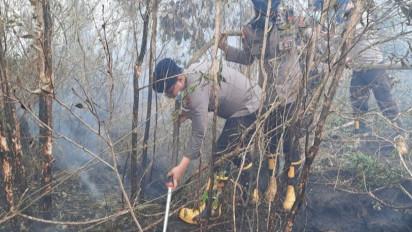 Asap Karhutla Kalimantan Sampai ke Negara Tetangga, BMKG Sebut Karena Angin