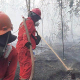 Gabungkan Kekuatan untuk Kendalikan Karhutla, BNPB: Pemerintah Tidak Tinggal Diam