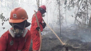 Gabungkan Kekuatan untuk Kendalikan Karhutla, BNPB: Pemerintah Tidak Tinggal Diam