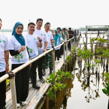 HIPMI Jakarta Utara Tanam 3.000 Mangrove Lewat The North Green Movement
