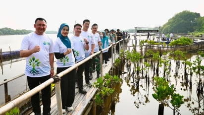 HIPMI Jakarta Utara Tanam 3.000 Mangrove Lewat The North Green Movement