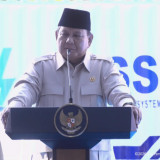Bila PLTS 100 GWp Tuntas 2 Tahun, Prabowo Janji Kasih Bintang Tanda Kehormatan