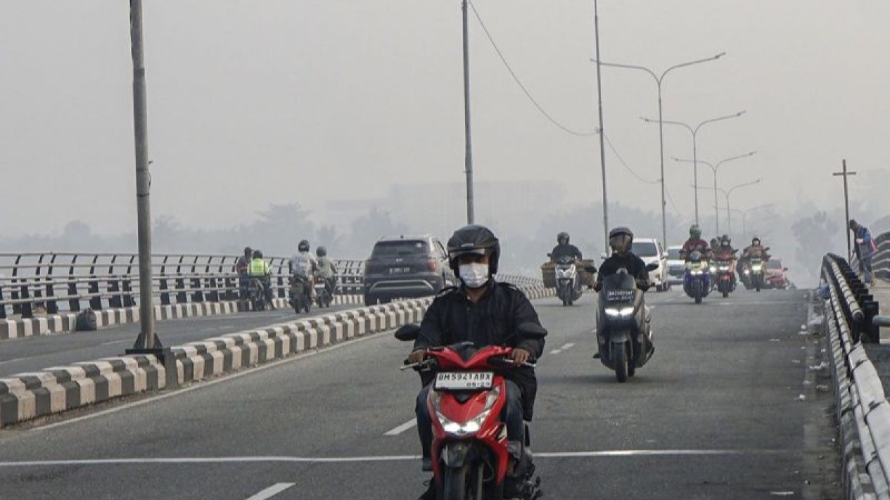 Waspada Dampak Karhutla, BNPB Ingatkan Warga Gunakan Masker Saat Keluar Rumah
            - galeri foto