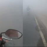Viral, Asap Karhutla Kalimantan Kian Tebal, Pengendara Bunyikan Klakson Di Jalan Demi Keselamatan