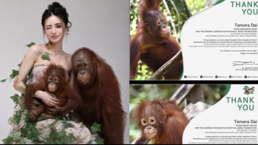 Lagi Ramai Adopsi Orang Utan Online di Kalimantan, Ternyata Begini Cara dan Manfaatnya
