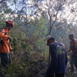Bukit Sentong Lumajang di Kawasan TNBTS Terbakar, Diduga Dipicu Gesekan Ranting