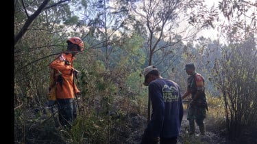 Bukit Sentong Lumajang di Kawasan TNBTS Terbakar, Diduga Dipicu Gesekan Ranting