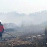 Karhutla Melanda Dua Wilayah Kalbar, 170 Personel Dikerahkan Padamkan Api di Ketapang dan Kayong Utara