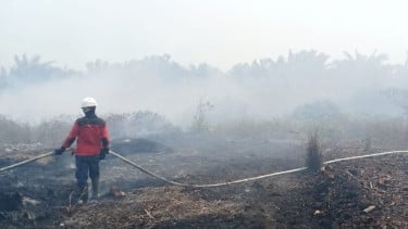 Karhutla Melanda Dua Wilayah Kalbar, 170 Personel Dikerahkan Padamkan Api di Ketapang dan Kayong Utara