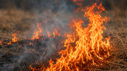 Keciduk Relawan Bakar Lahan, Bocah di Banjarbaru Kalsel Mengaku Hanya Iseng