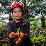 GAPKI: Industri Kelapa Sawit Indonesia Terus Berkomitmen Lindungi Perempuan Pekerja