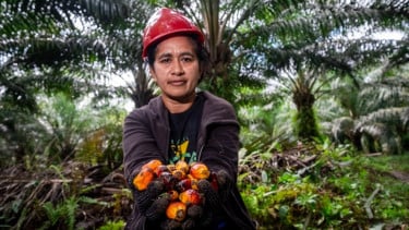 GAPKI: Industri Kelapa Sawit Indonesia Terus Berkomitmen Lindungi Perempuan Pekerja