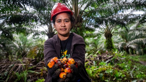 GAPKI: Industri Kelapa Sawit Indonesia Terus Berkomitmen Lindungi Perempuan Pekerja