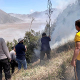 Api Kembali Berkobar di Bromo, Petugas Berjibaku Padamkan Karhutla