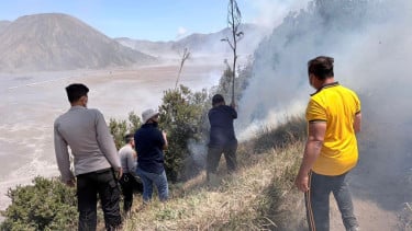 Api Kembali Berkobar di Bromo, Petugas Berjibaku Padamkan Karhutla