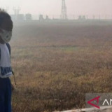 ISPA Ancaman Nyata Dari Karhutla