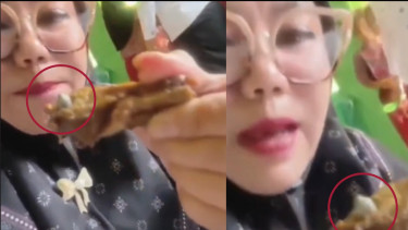 Buntut Video Viral Dugaan Peluru di Menu MBG Siswa SD Lampung Utara, SPPG Langsung Disuspend