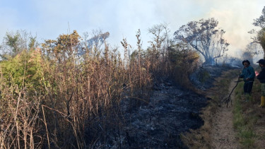 Kebakaran Susulan Kawasan TNBTS di Lumajang, 170 Pendaki Semeru Dievakuasi