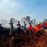 Polri-TNI dan Pamhut Patroli Bersama Cegah Kebakaran Hutan dan Lahan di Jambi