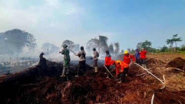 Polri-TNI dan Pamhut Patroli Bersama Cegah Kebakaran Hutan dan Lahan di Jambi