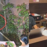 Terungkap! Pengakuan WNA Australia yang Viral Mesum di Halaman Rumah Warga Bali