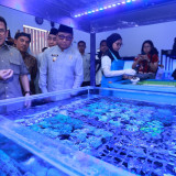 Fasilitasi UMKM Banyuwangi, Menteri Perdagangan Lepas Ekspor Koral Hias ke Amerika