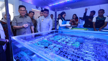 Fasilitasi UMKM Banyuwangi, Menteri Perdagangan Lepas Ekspor Koral Hias ke Amerika