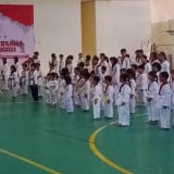 Berkaca dari Event Onepride Future Champ Series, Pelatih dan Atlet Taekwondo Indonesia Kirim Pesan Menyentuh Buat PBTI
