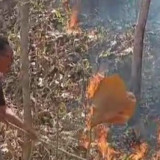 Karhutla Melanda Perbukitan Imogiri Bantul, 3 Hektare Lahan Dilalap Api