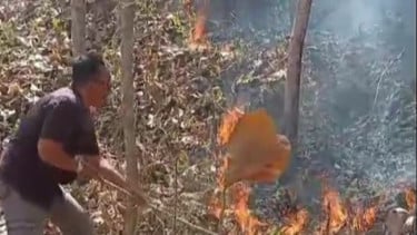 Karhutla Melanda Perbukitan Imogiri Bantul, 3 Hektare Lahan Dilalap Api